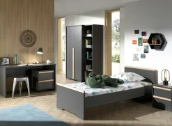 Bundelvoordeel Dex Antraciet