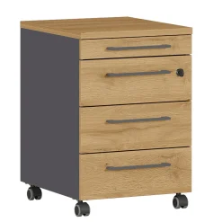 Bundelvoordeel Ergonoma Eiken