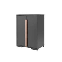 Lage Tweedeurskast Dex Grenen Antraciet